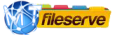 file serve download
